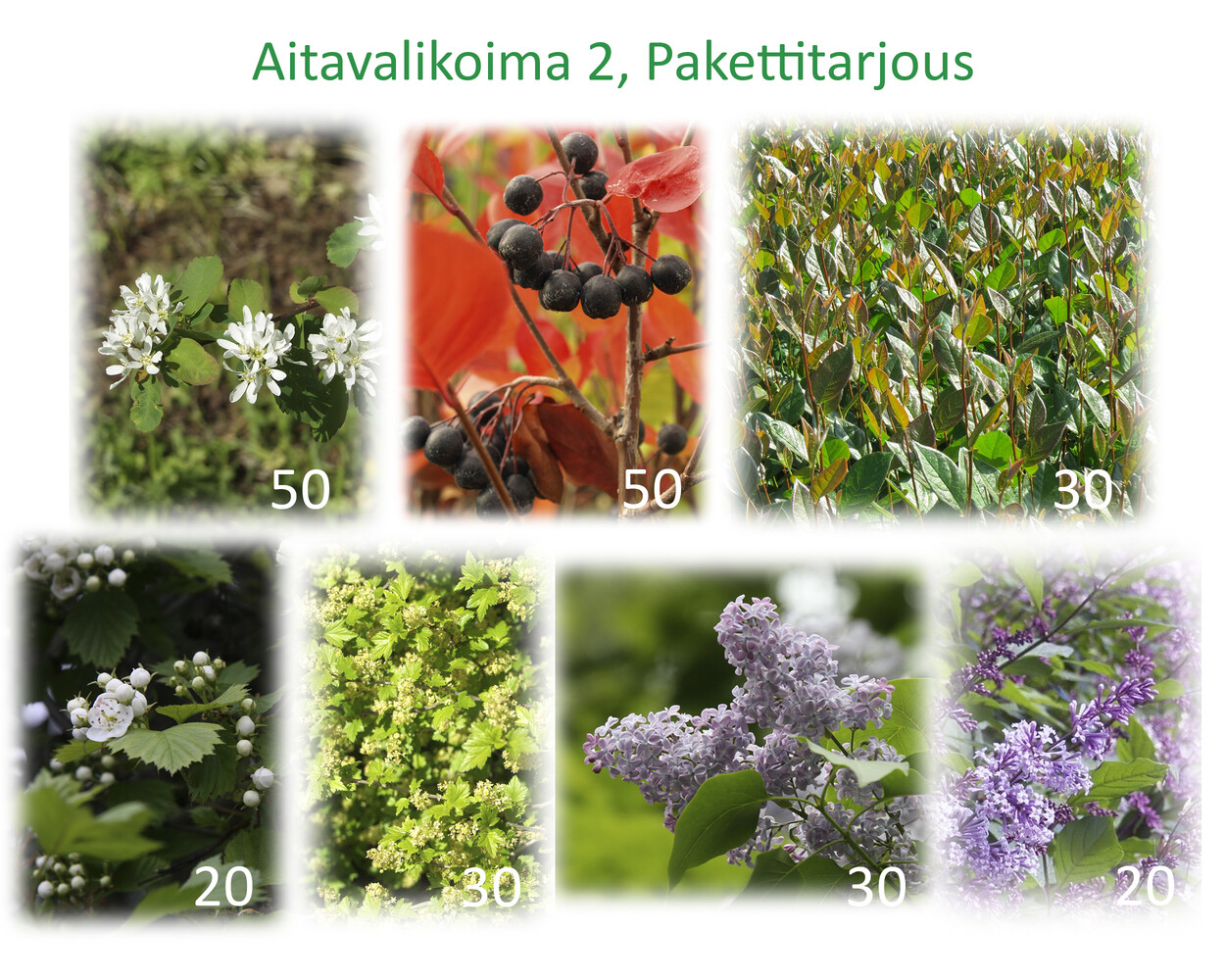 Aitavalikoima 2